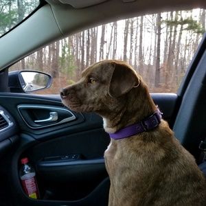 Meet your Posher, Leslie